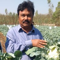 Kaushik Roy (@kaushikroy05) 's Twitter Profile