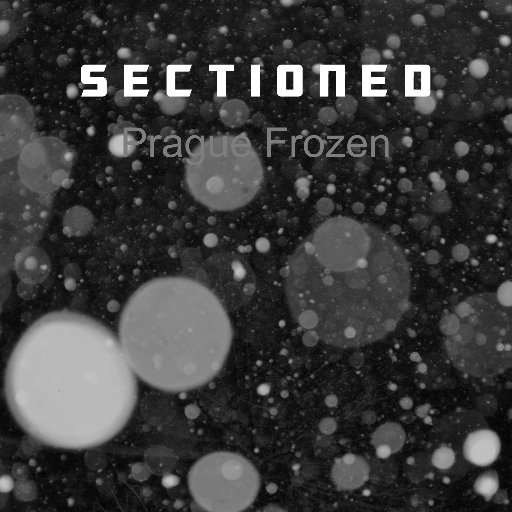 SECTIONEDEDM's profile picture. 💟TRANCE❤️