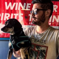 Mike Rougeau (@roguecheddar) 's Twitter Profile