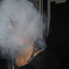 thibogrf's profile picture. 