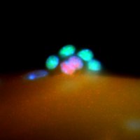 Ben Chazaud (@benchazaud) 's Twitter Profile