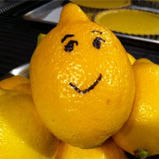 SEO Copywriter. Localization & translations German - Dutch. Österreicherin. Lebt in Holland. 🍋