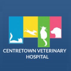 Cat & dog Veterinary practice located at 955 Somerset st W