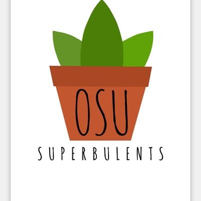 Make your space superb with customized succulents!🌵 Our succulents are locally sourced and the profits earned will go to funding the COB. Insta: @superbulents