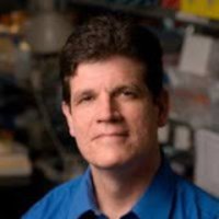 Dean Felsher, MD PhD (@labdfelsher) 's Twitter Profile