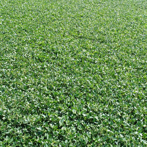 FAA Remote Pilot, Agriculture, Aerial Mapping, Aerial Imagery