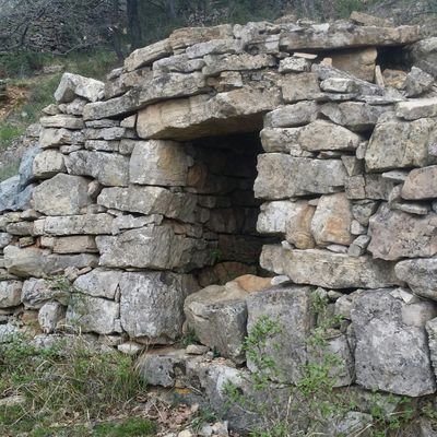 JacquesBenitez's profile picture. 