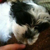 Randy🏆👧💭 (@randiddy91) 's Twitter Profile