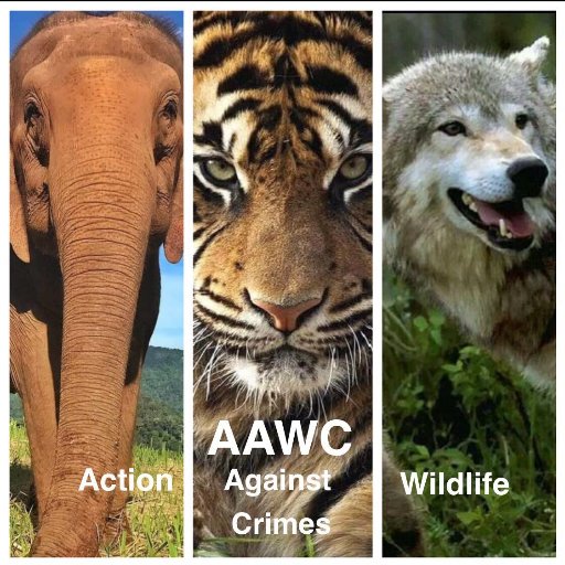 Against animal abuse in all forms including trophy hunting. Beyond exposing we share actions you can take to get involved.