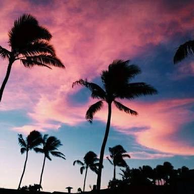scenepicsawesm's profile picture. Beautiful life, enjoy nature