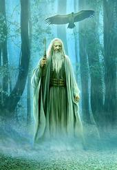 ChiefBard's profile picture. I am a student of the Tuatha de Danann and look to the beauty and love in the world.