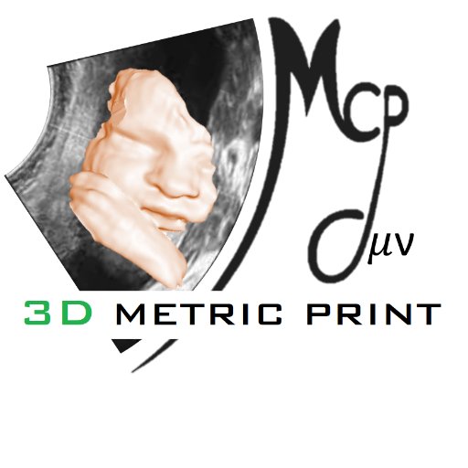 Company dedicated to develop softwares in the 3D PRINT area using the latest SLA technology to create the best high-quality 3D PRINT for ULTRASOUNDS