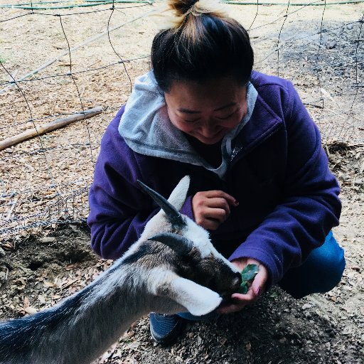 ashfordMDUSD's profile picture. ❤️ Elementary Counselor ❤️