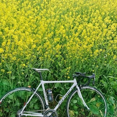 最後のバイクR1200GSを降りて今はたまに自転車に乗る程度。 奥さんとダックスの「ばじる」と友から託された「るか」、ネコ4人たちと暮らしてます。 先住ダックスの「どん」とネコの「みんと」「くみん」「わさび」は✨になりました。心身病んでる一応看護師。気軽にフォローして下さい。ロード・釣り・キャンプなど雑多。