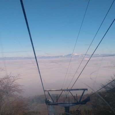 sofianews1312's profile picture. news