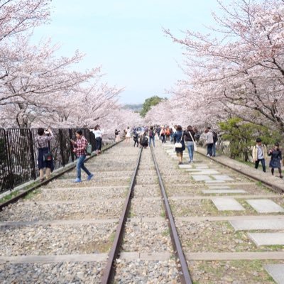 h4_co7o's profile picture. 