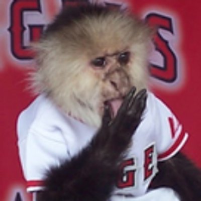 The Rally Monkey is the mascot of the Los Angeles Angels of Anaheim. Breaking news, score updates, and a little smack talk during live games.