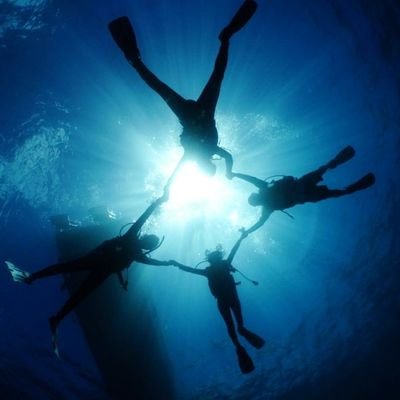 Local.Scuba.Diving.夏に沖縄・離島に約1週間の合宿や伊豆でダイビングをします！興味がある方はリプ、DMお気軽にご連絡ください。