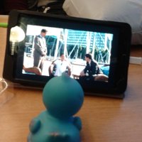 r (@twarrestrial) 's Twitter Profile Photo