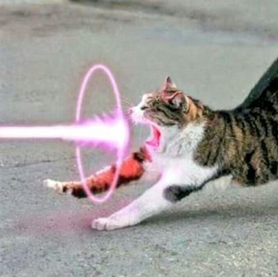 yukon8982's profile picture. 持續缺乏精神食糧。