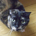 Junko Nakano (@vivian555777) Twitter profile photo