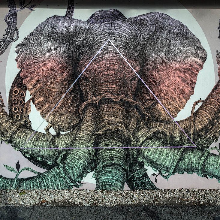 BEknzOYCrCx1oaQ's profile picture. 