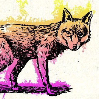 Foxer40451591's profile picture. A voice for all sort of social issues and discrimination 💪🏻