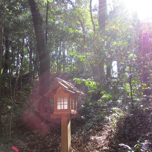 メディアマックス友の会No.227　懐古
護国神社巡り