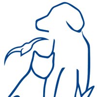 JSPCA Animals Shelter (@jerseyjspca) 's Twitter Profile