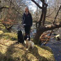 Heather Gibson (@heatheranngibso) 's Twitter Profile Photo Heather Gibson (@heatheranngibso) 's Twitter Profile Photo