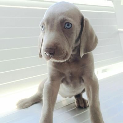 ccarmen6's profile picture. 