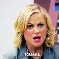 Christine (@knopeswanson20) 's Twitter Profile