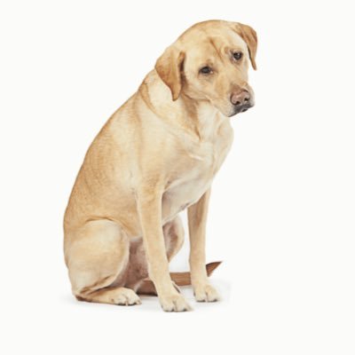 aboohaneefah's profile picture. 