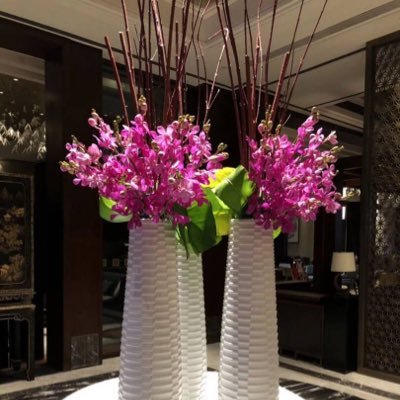 LM60485627's profile picture. 🌹