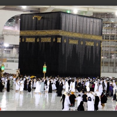 balubaid_omar's profile picture.