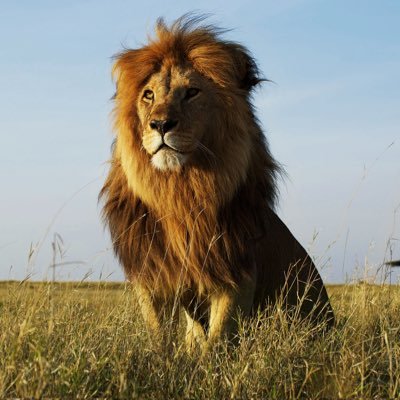 FredericDupaix's profile picture. CLUB Groupe CLUB Groupe CLUB Groupe