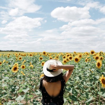 sunfl0w3r07's profile picture. 