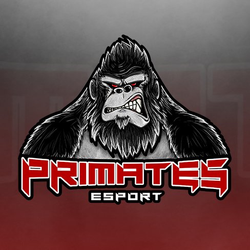 French Esport Organization / Powered by @coolermasterfr @Jokowear
#PrimatesGang #PRIMWIN 🇫🇷 Contact: primatesesport@gmail.com