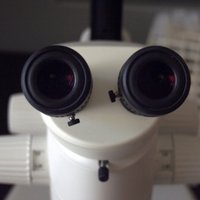 Clinical Trials (@clintrialsj) 's Twitter Profile