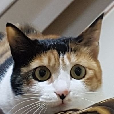 KKB0xdW9DPwSIS3's profile picture. 주어진 삶에 있어서 중요한 것은  옳다고 생각하는 것에 대해 최선을 다하는 것이다.