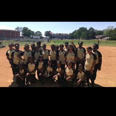 Whitehaven High Softball Team 2017-2018 🐯 
Undeafeated District Champs ×2