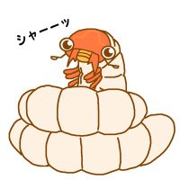 くりす(STAGBEETLEMAN) (@stagbeetleman) 's Twitter Profile