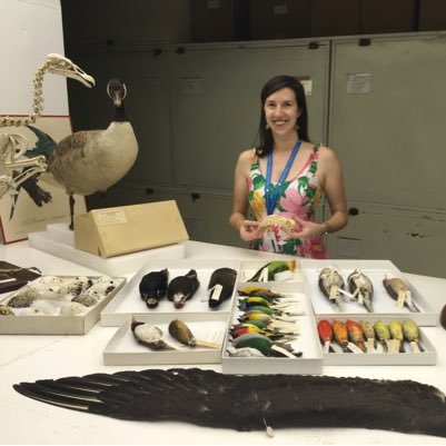 Barbara Brown Chair of #Ornithology at @sciencemuseummn. Former #oVertTCN postdoc at @FloridaMuseum. Birds, anatomy, and museums. Tweets are my own. She/her.