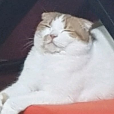 wip417's profile picture. 