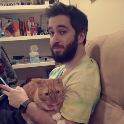 software engineer, concerts and festivals, cats, everything tiedye