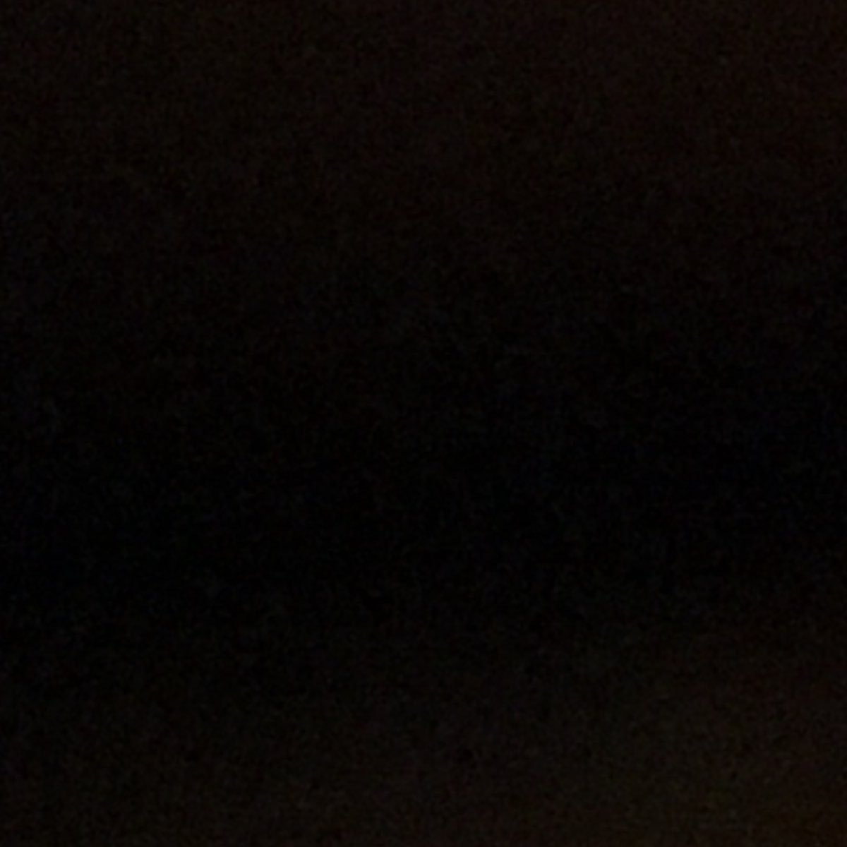 alyssa20234's profile picture. 