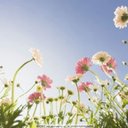 Sherry - @SherryDolan11 - Twitter