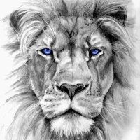 Jay Shuttleworth (@jshuttleworth17) 's Twitter Profile