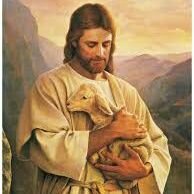 Biogeneticflame's profile picture. student struggling in the anti-educational environment called America.