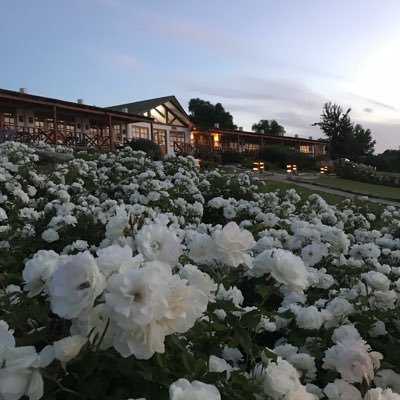 Hotel Boutique y Restaurant con tradición familiar, preocupados en dar un servicio de excelencia en un verdadero oasis en el hermoso Valle del Limari,IV Región.